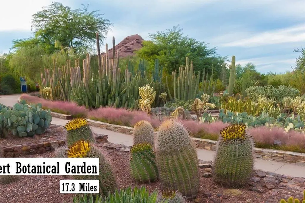 Modern 3-Br Condo In North Scottsdale USA